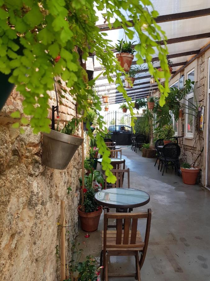 Garden Place Alojamento Local Vişeu Exterior foto